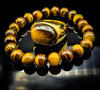 Tiger Eye Bundle