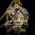 Black Medusa Necklace